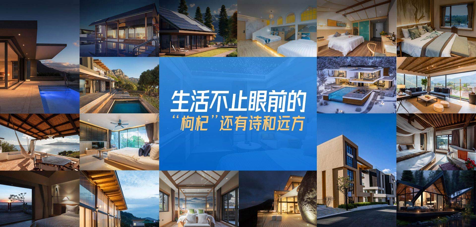 维泰·生活不止眼前的“枸杞”还有诗和远方